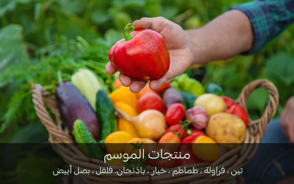 Picture for farm التين والزيتون