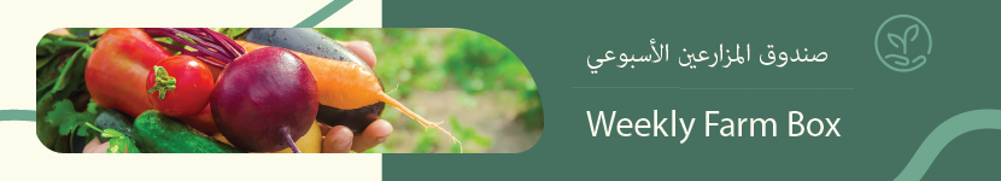 Picture of Kuwait Local Farms