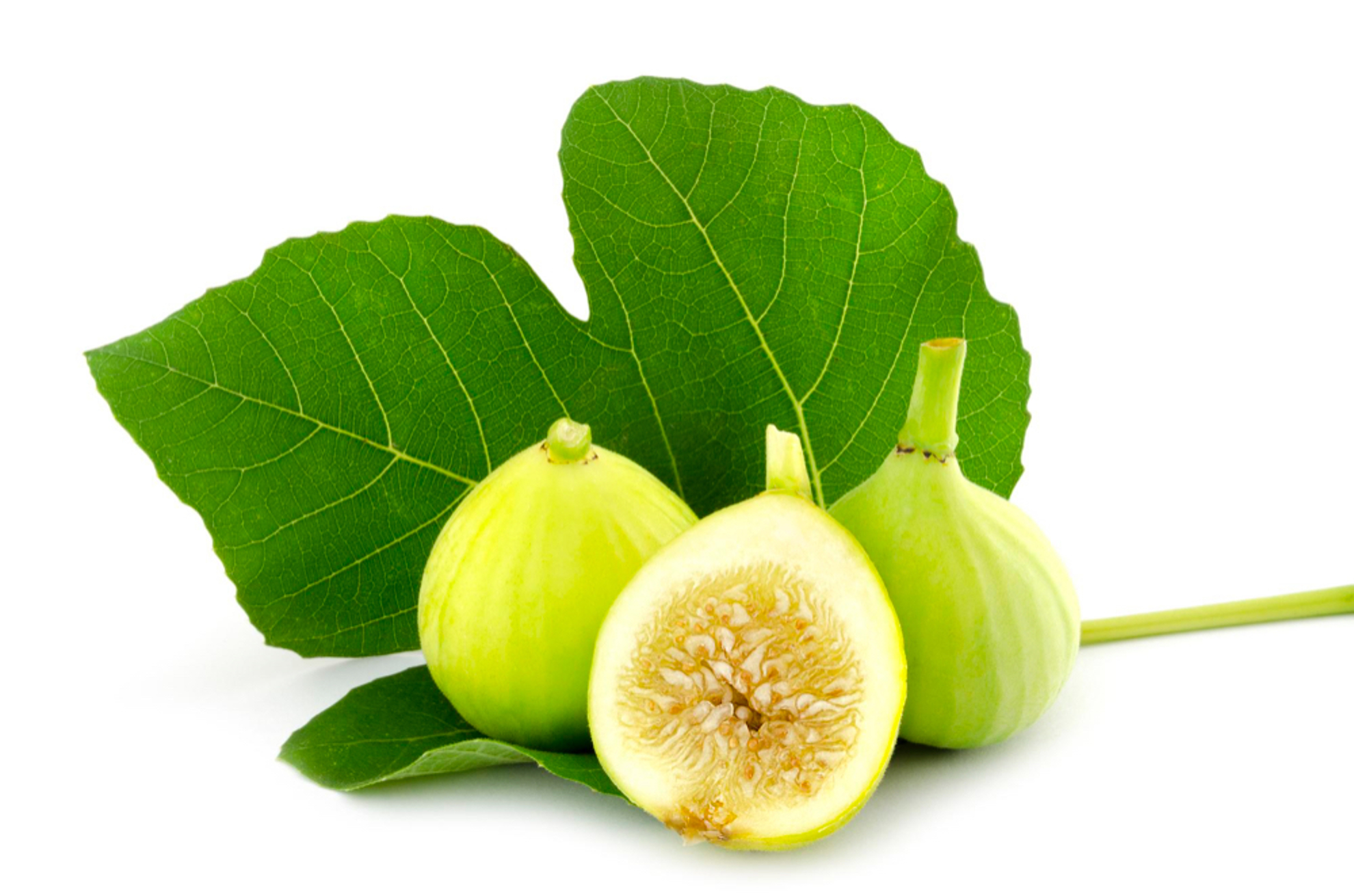 Picture of Figs تين