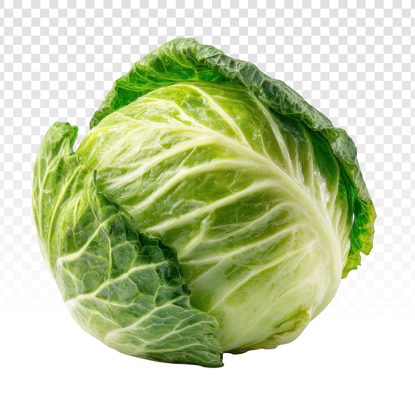 Picture of ملفوف كرتون فلين cabbage